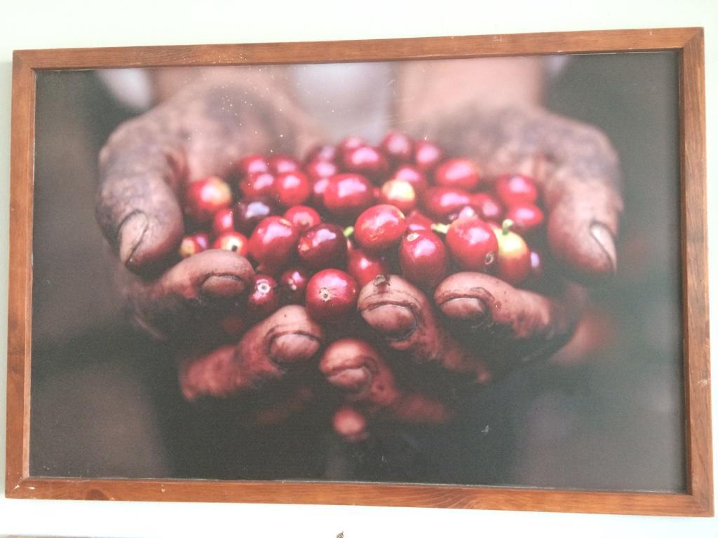 Coffea Garden Cafe & Stay Malakka Dış mekan fotoğraf