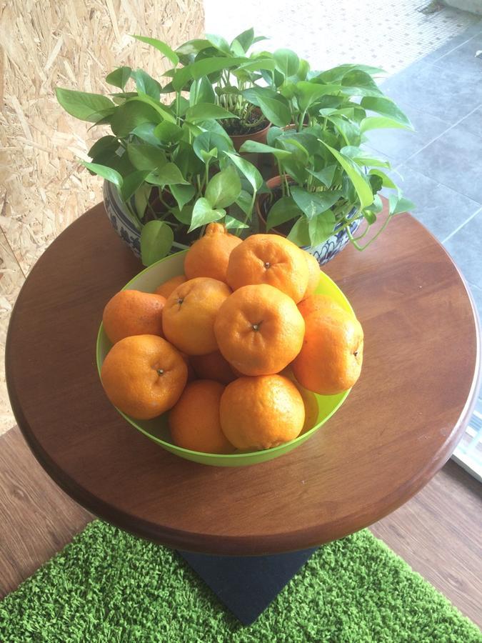 Coffea Garden Cafe & Stay Malakka Dış mekan fotoğraf